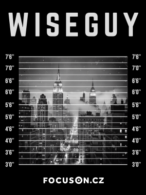 WiseGuy